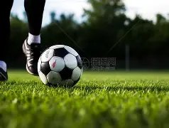 罗德里戈多,面手,阿森纳抢购,万博全站,万博体育全站APP,万博manbetx手机版登录入口,万博ManbetxAPP