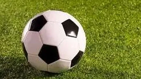 万博体育 资讯 095256 4m3