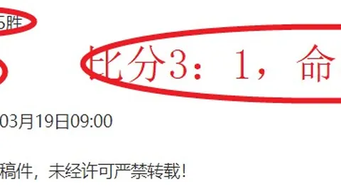 欧协杯激情对决！波兰战队vs斯洛文尼亚，两场胜利背后的热血交锋！